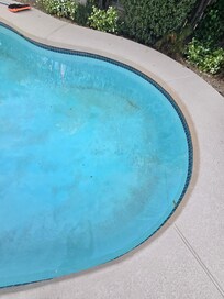 Dirty pool. And this is after we cleaned it once.