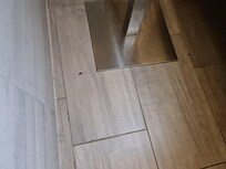 Barata no quarto
