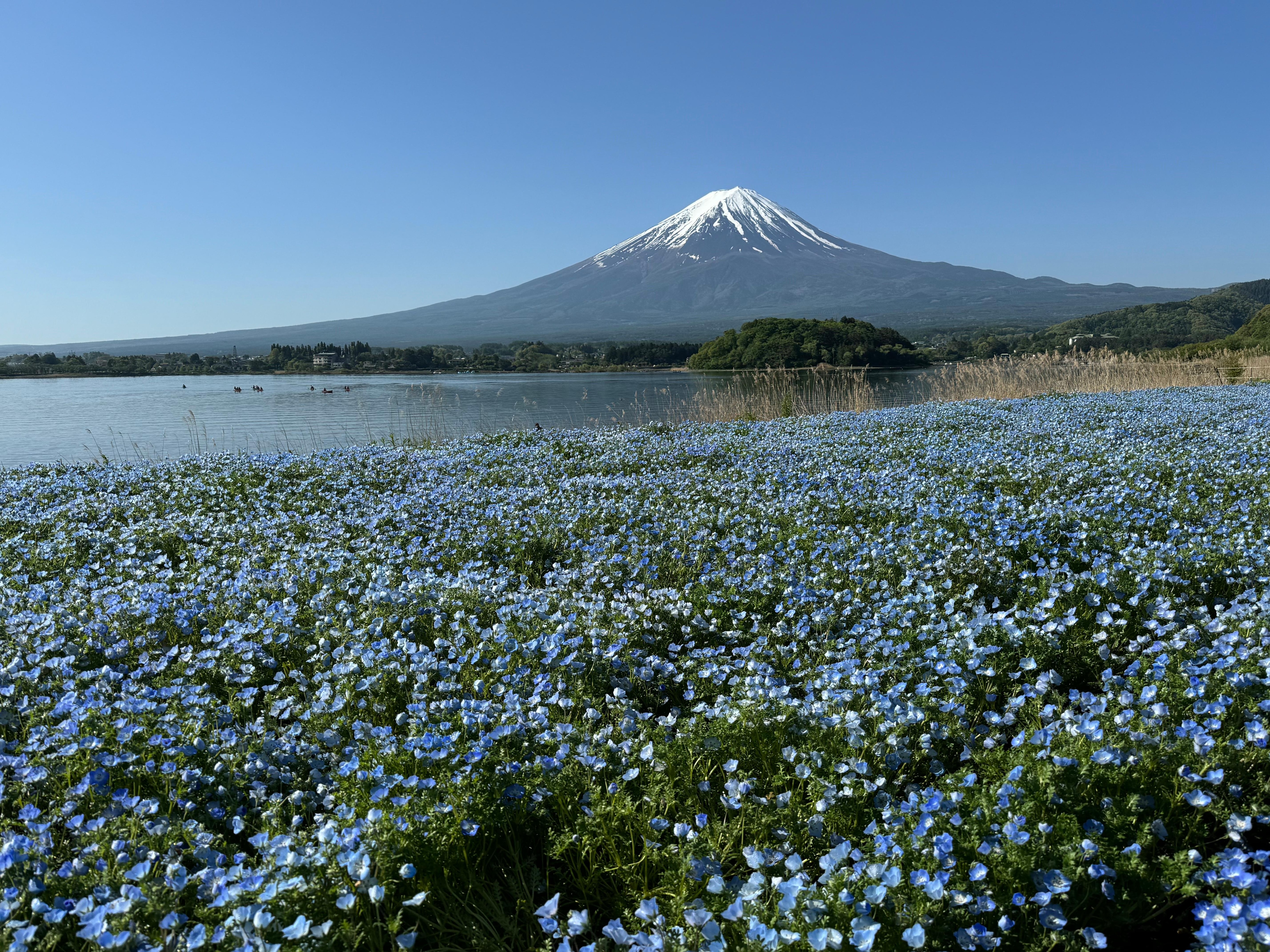 すぐ近くの湖畔からの景色です