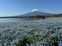 すぐ近くの湖畔からの景色です