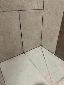 Mould in the bathroom