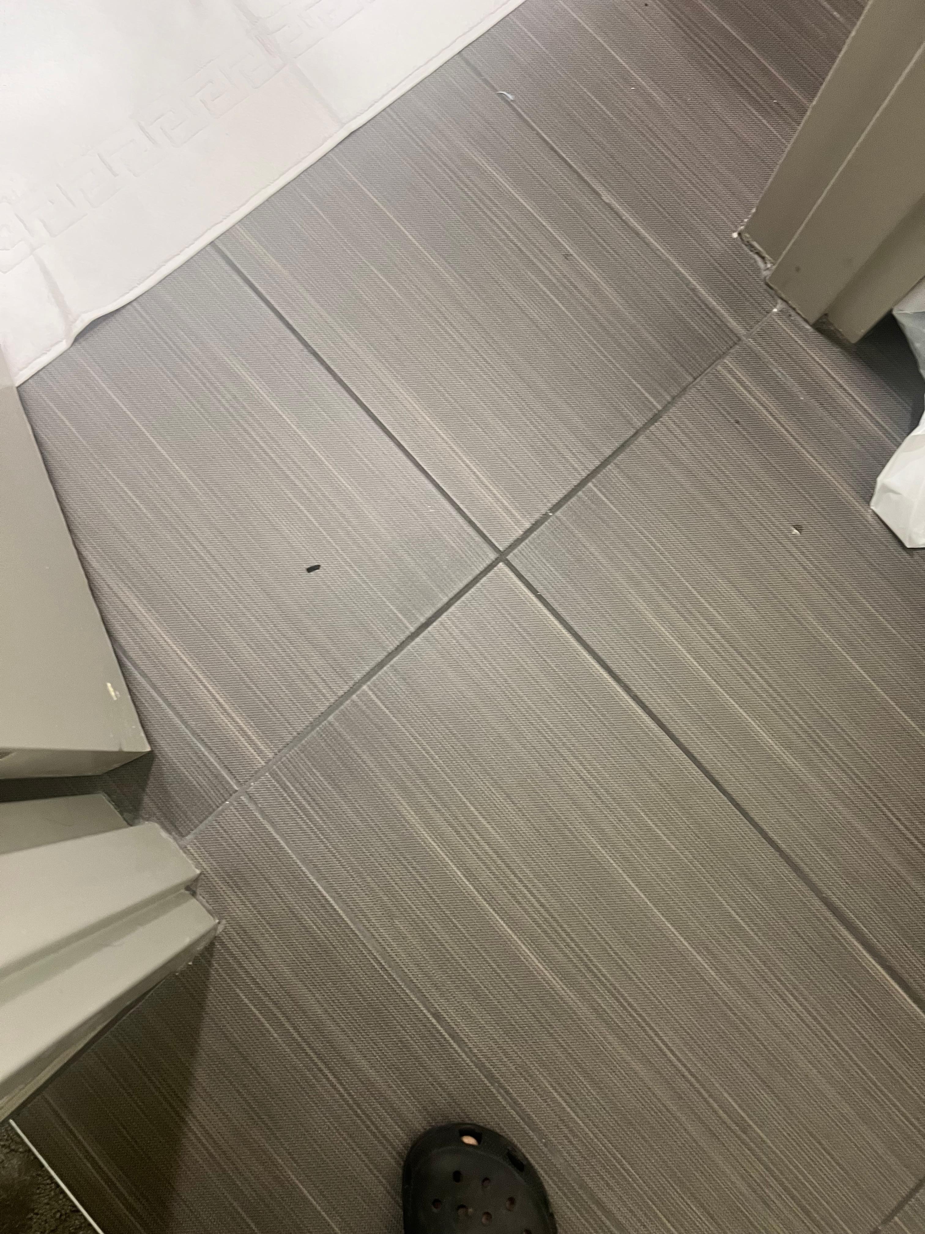 Hair was everywhere from the shower to the sink