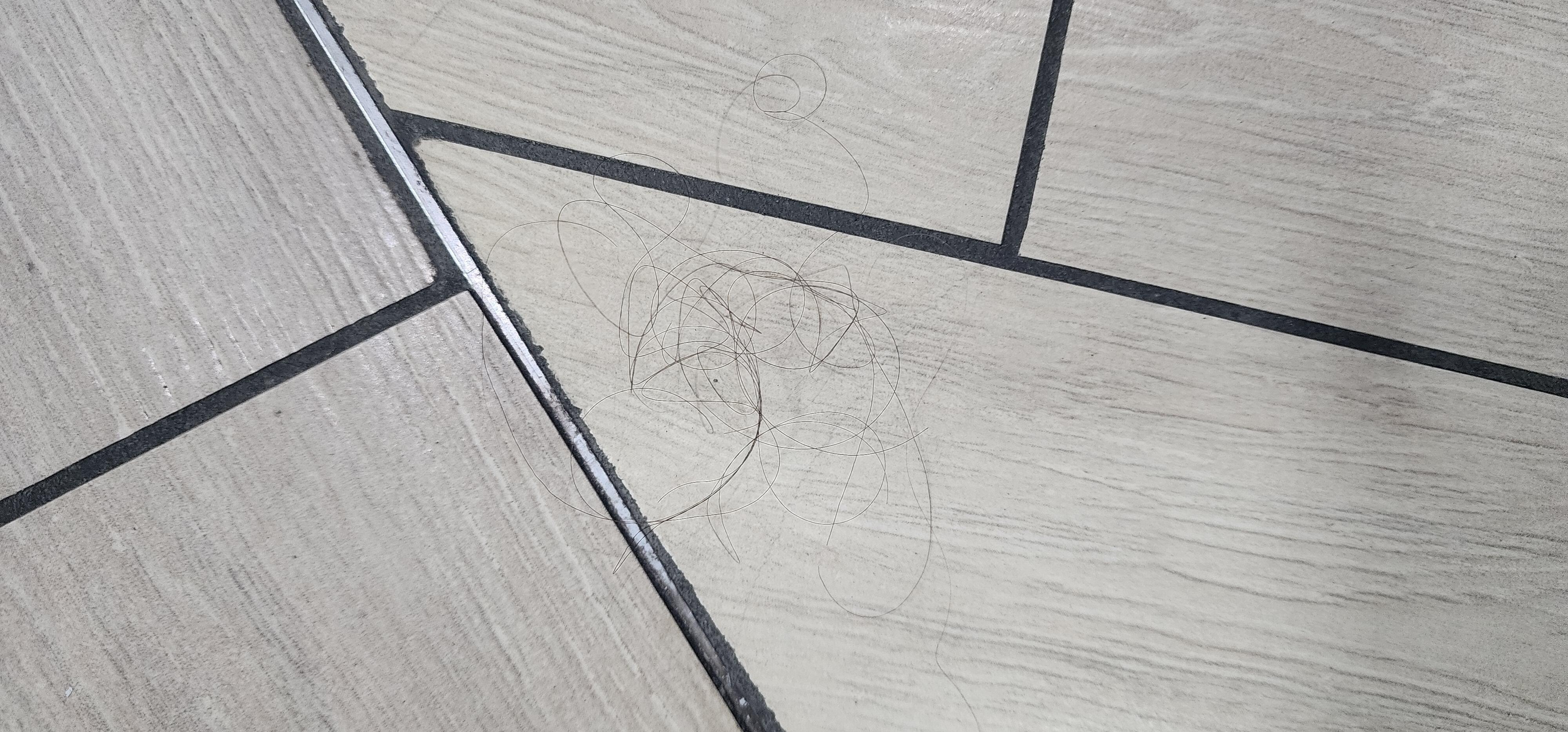 Hair on bathroom floor 