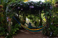 Comfortable hammock out in the courtyard.