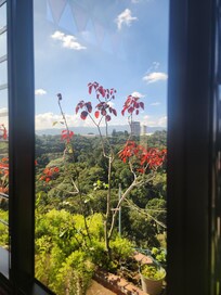 The view from the dinning area is beautiful