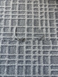 Awful old tired carpet