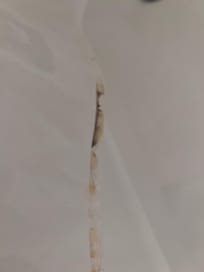 Mold in the shower which does not drain properly