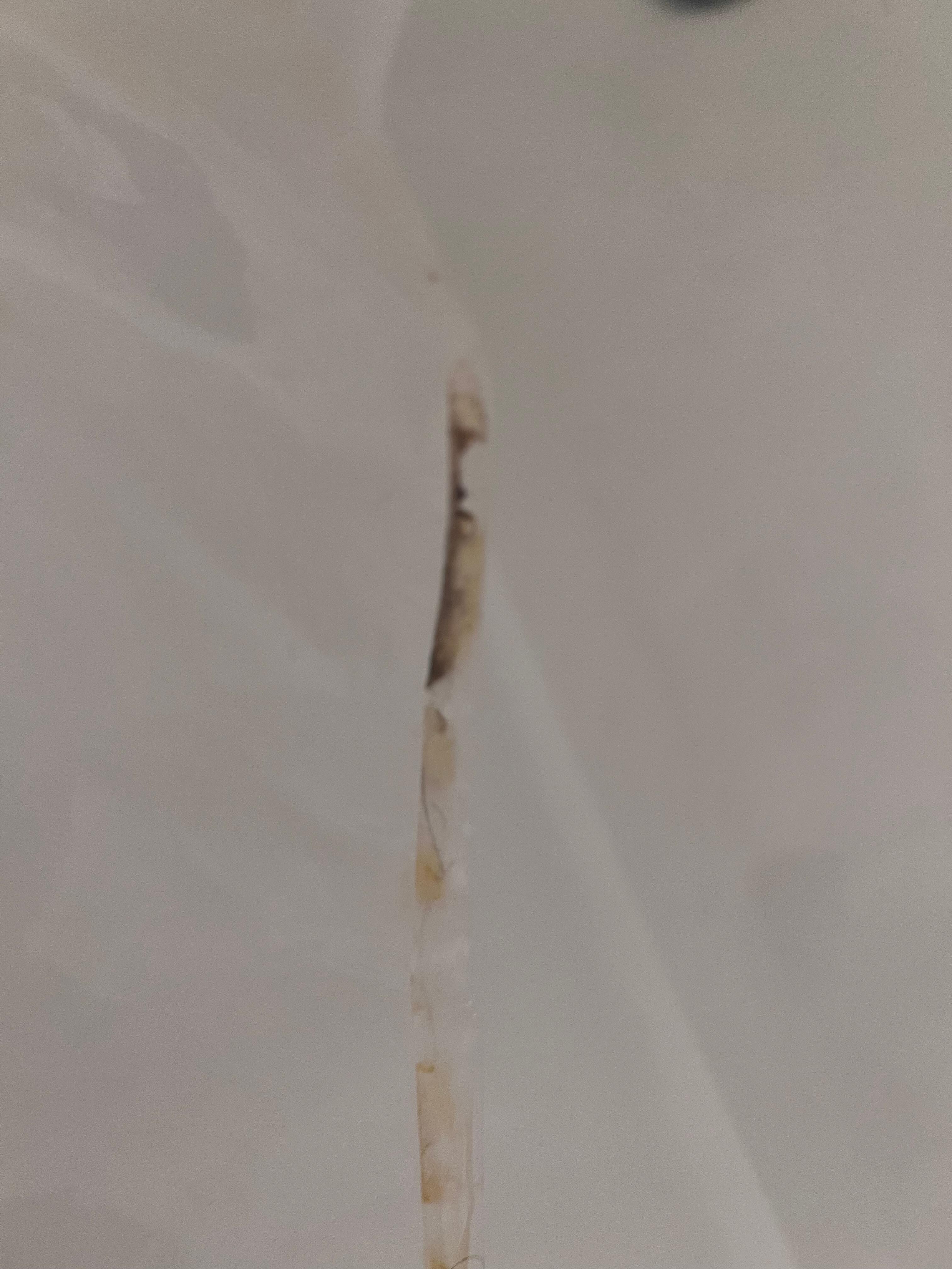 Mold in the shower which does not drain properly