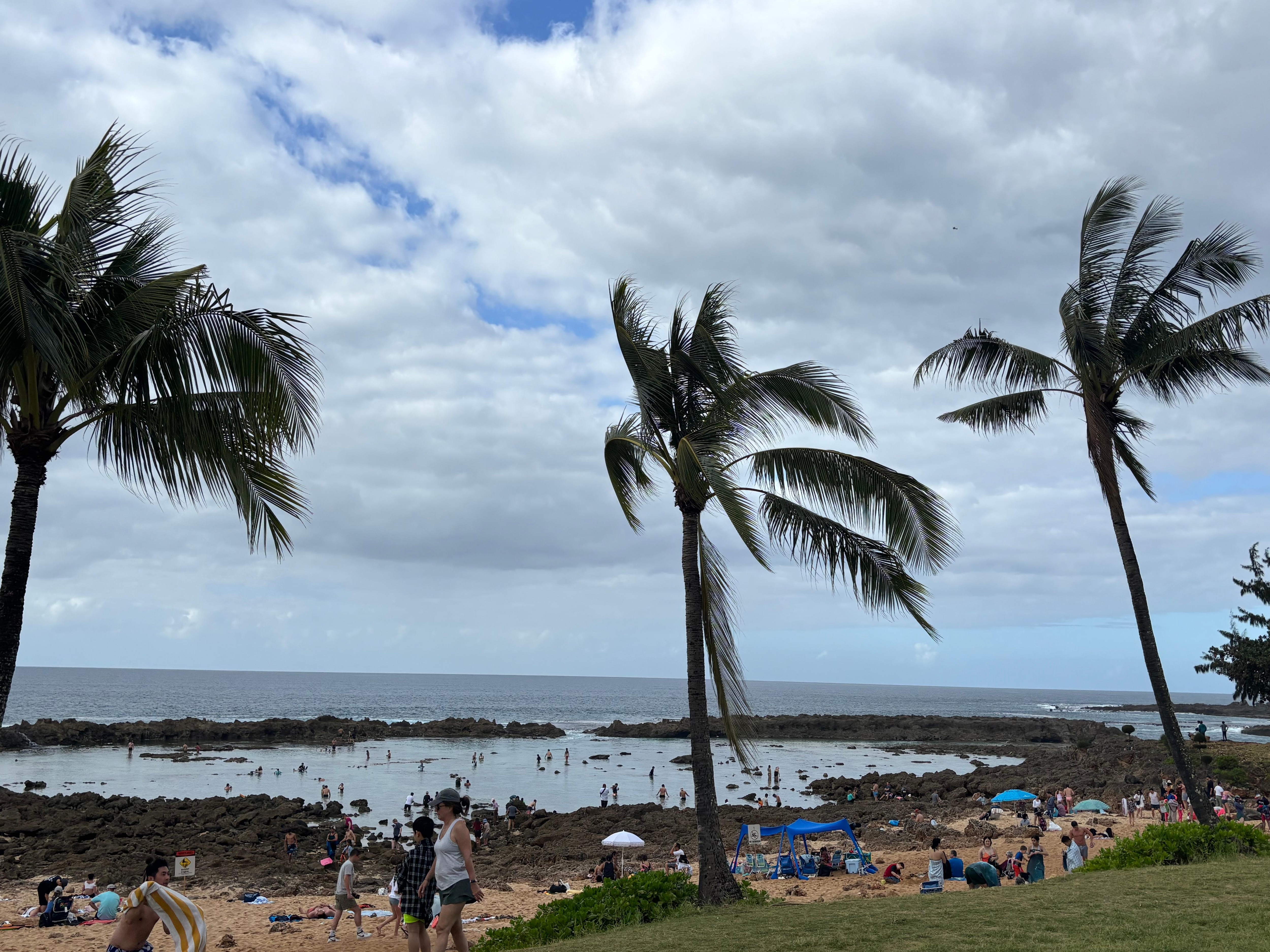 Nearby snorkel location