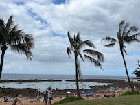 Nearby snorkel location