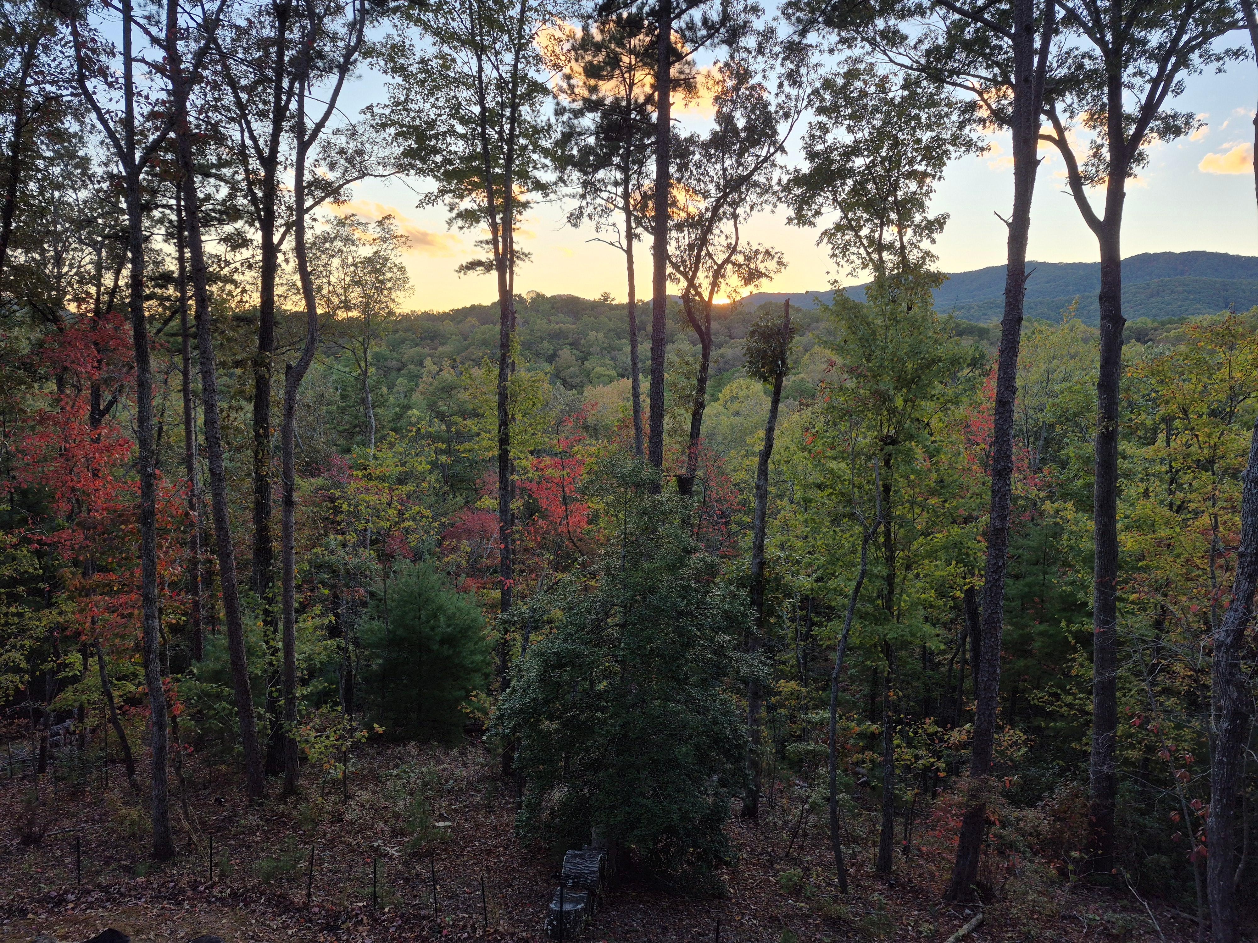 View from the back deck