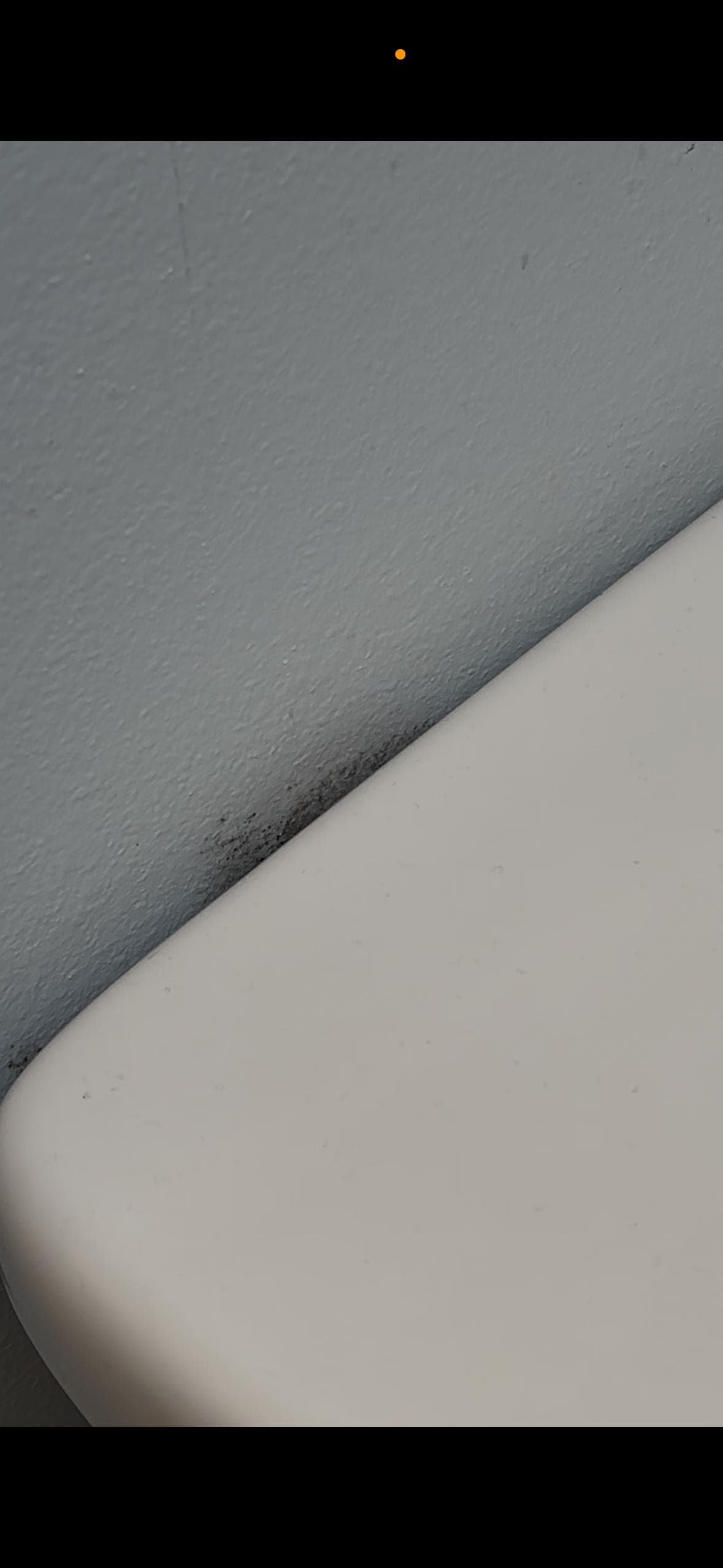 We found mold growing behind the toilet. Mold was also visible on the air vent. 