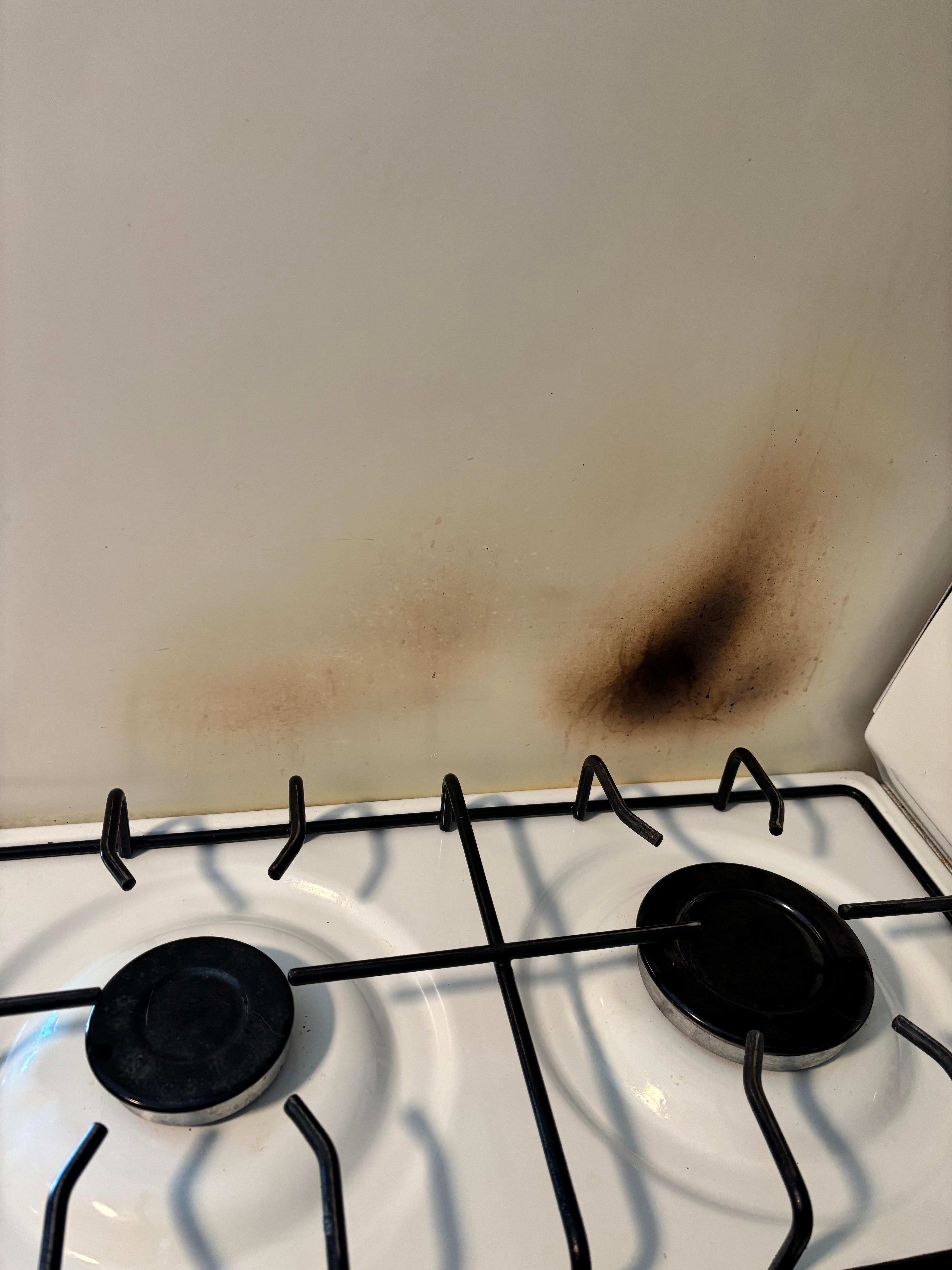 The burns on the fridge that is placed right next to the stove