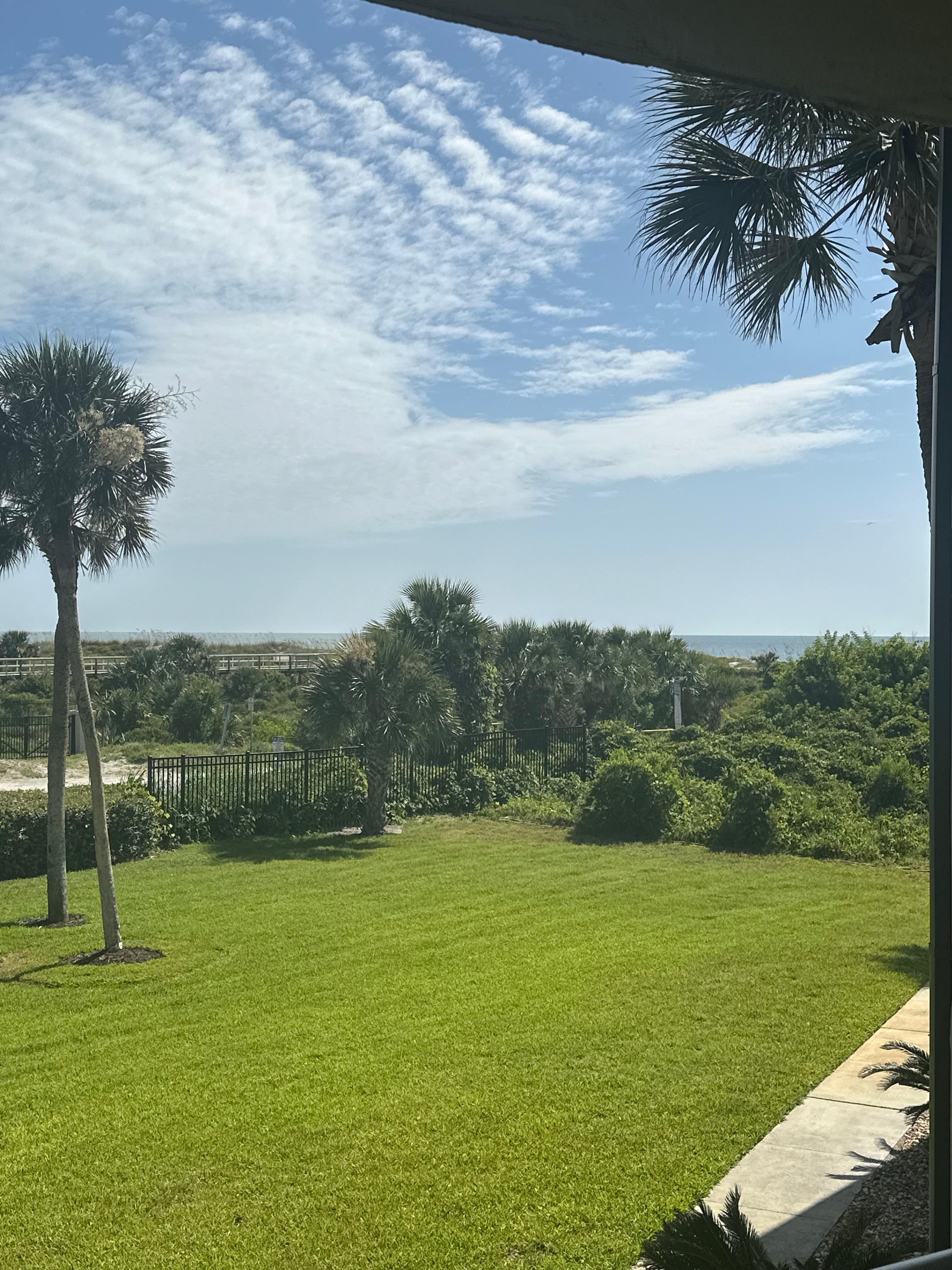 View from patio