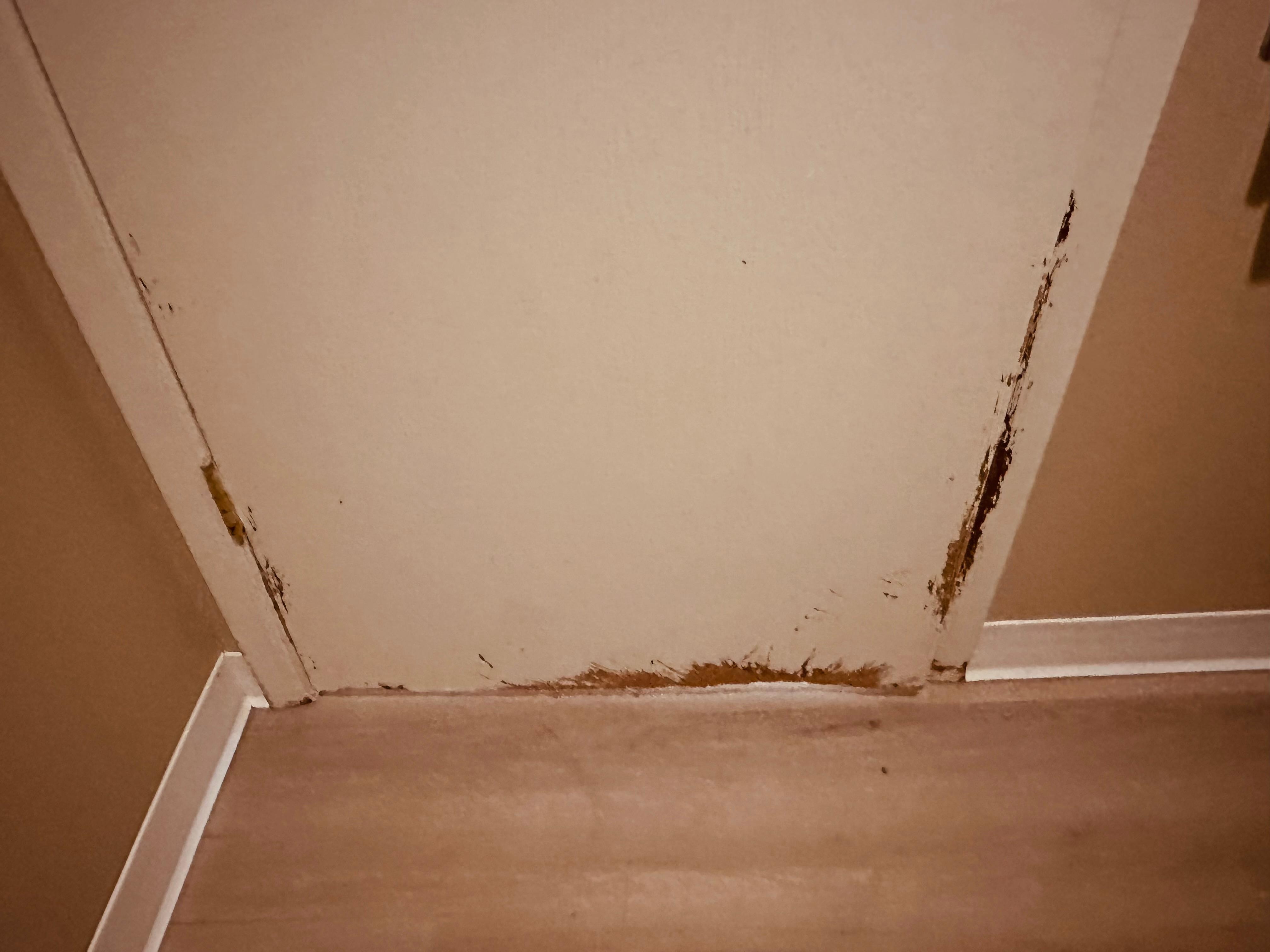 Pet friendly room. Don’t lock your dog in the bathroom. 