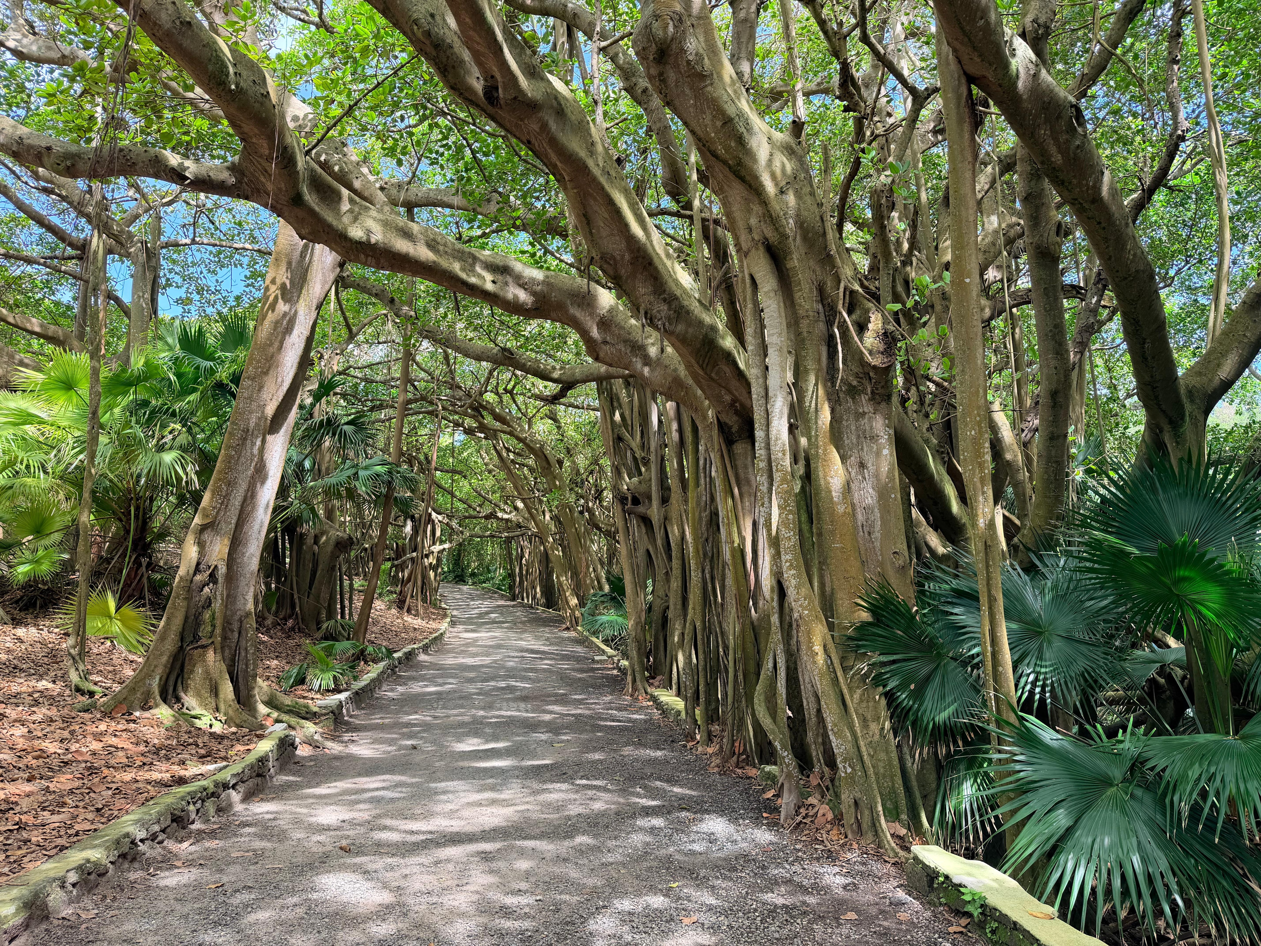 Nature walks