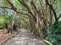 Nature walks