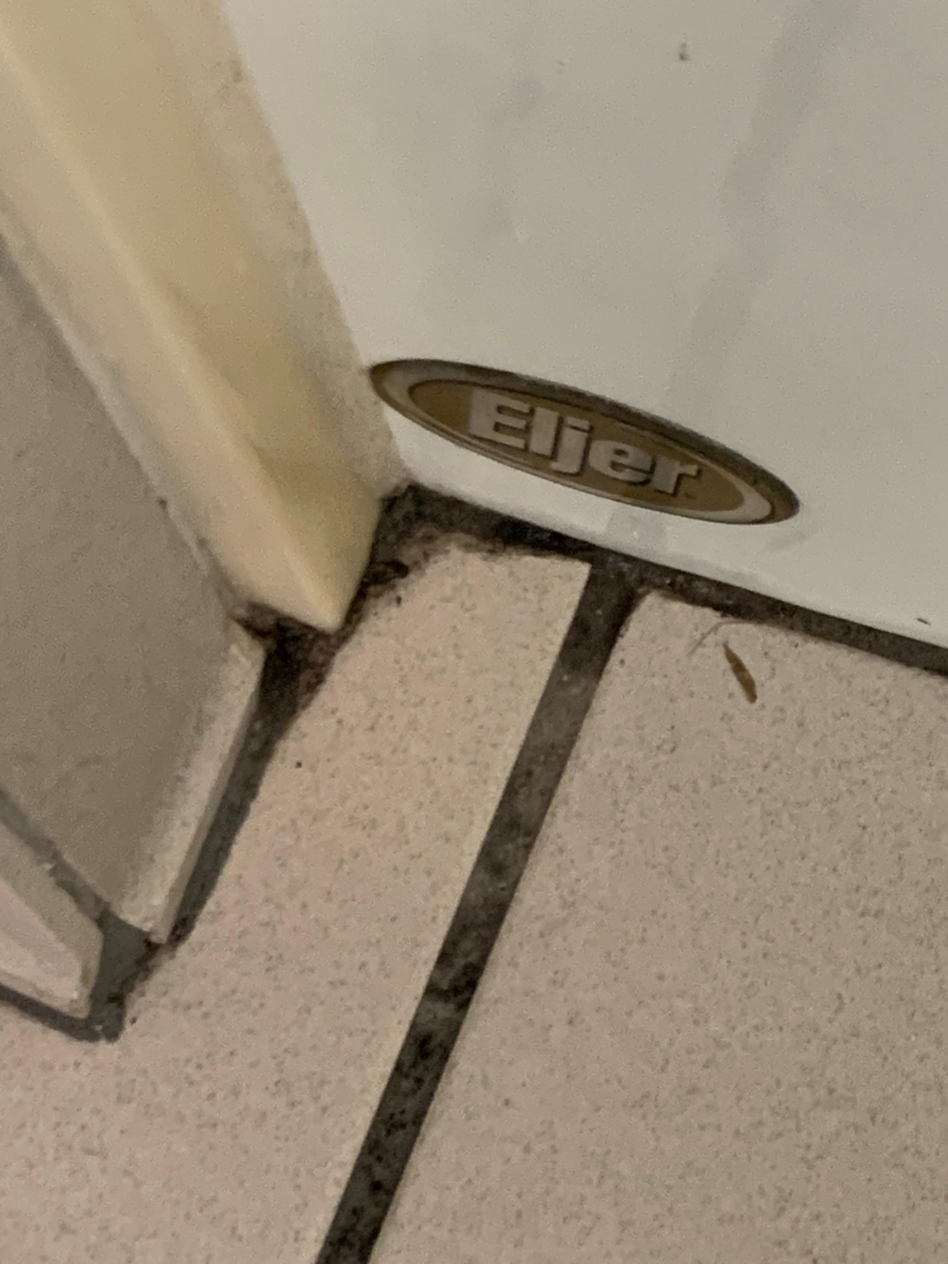 Mildew on floor.
