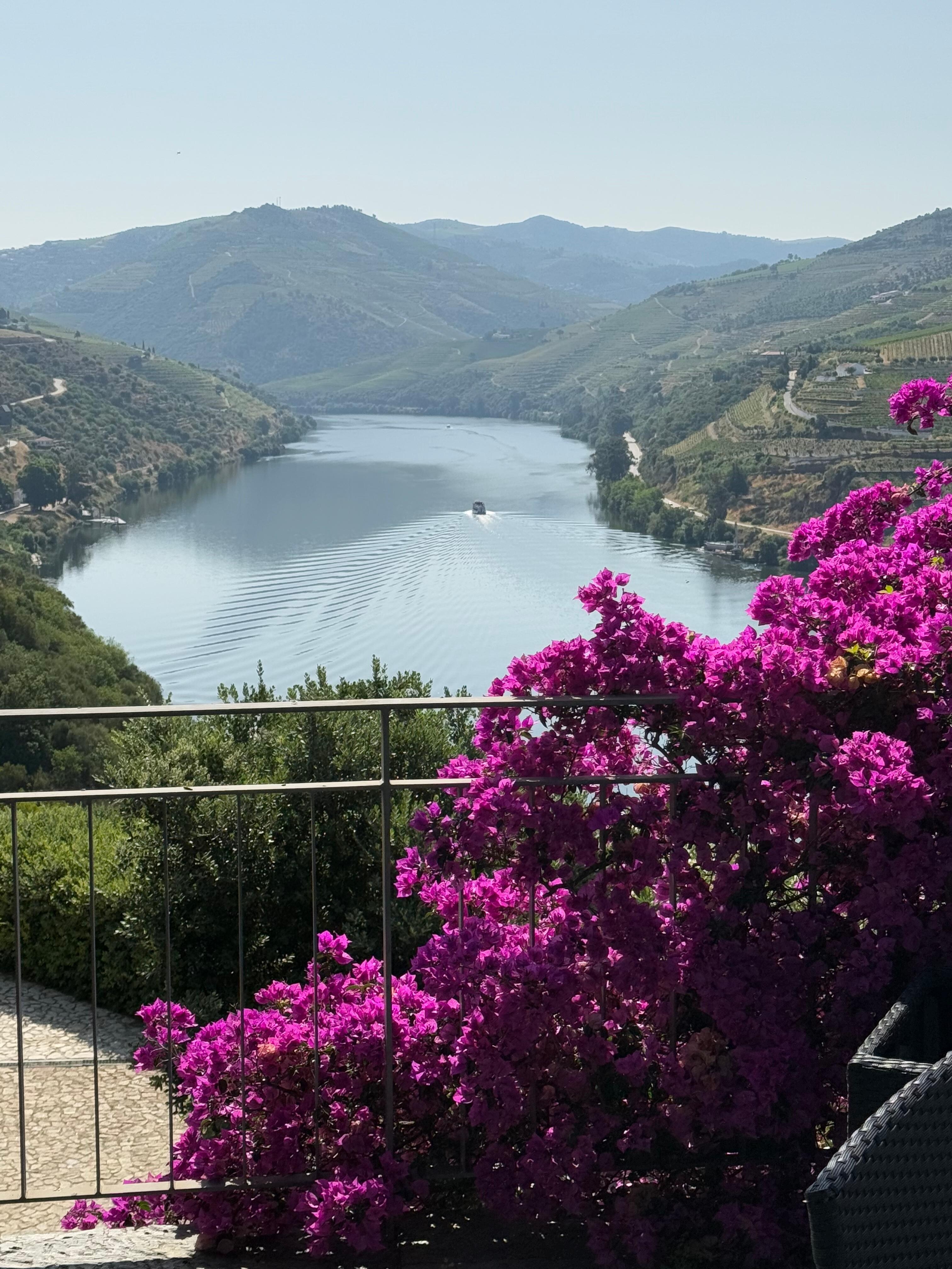 View from the pretty deck of Quinta da Marka looking up the Douro