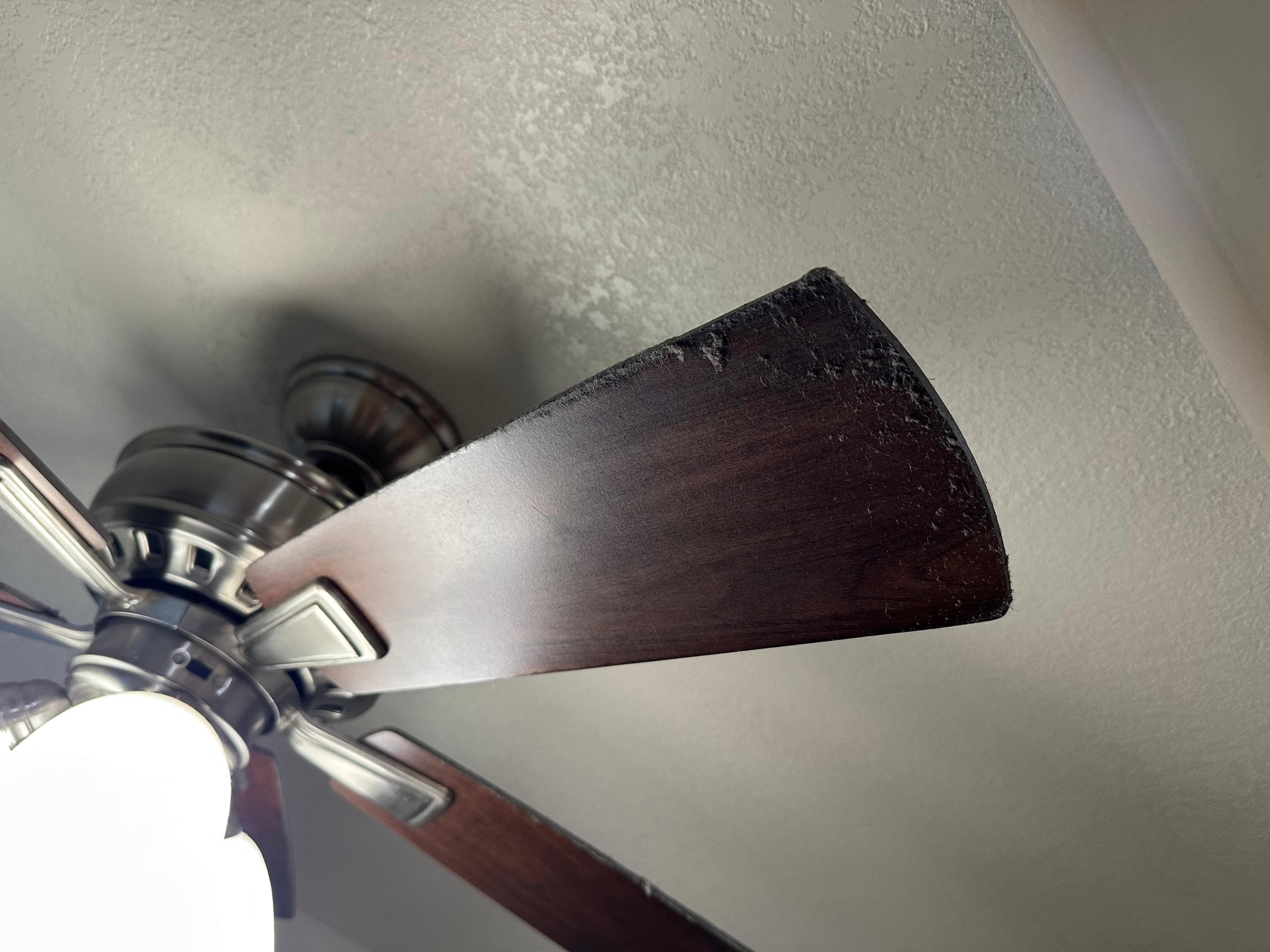 Filthy ceiling fans over table 