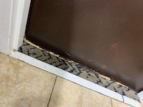 Mold damage to door