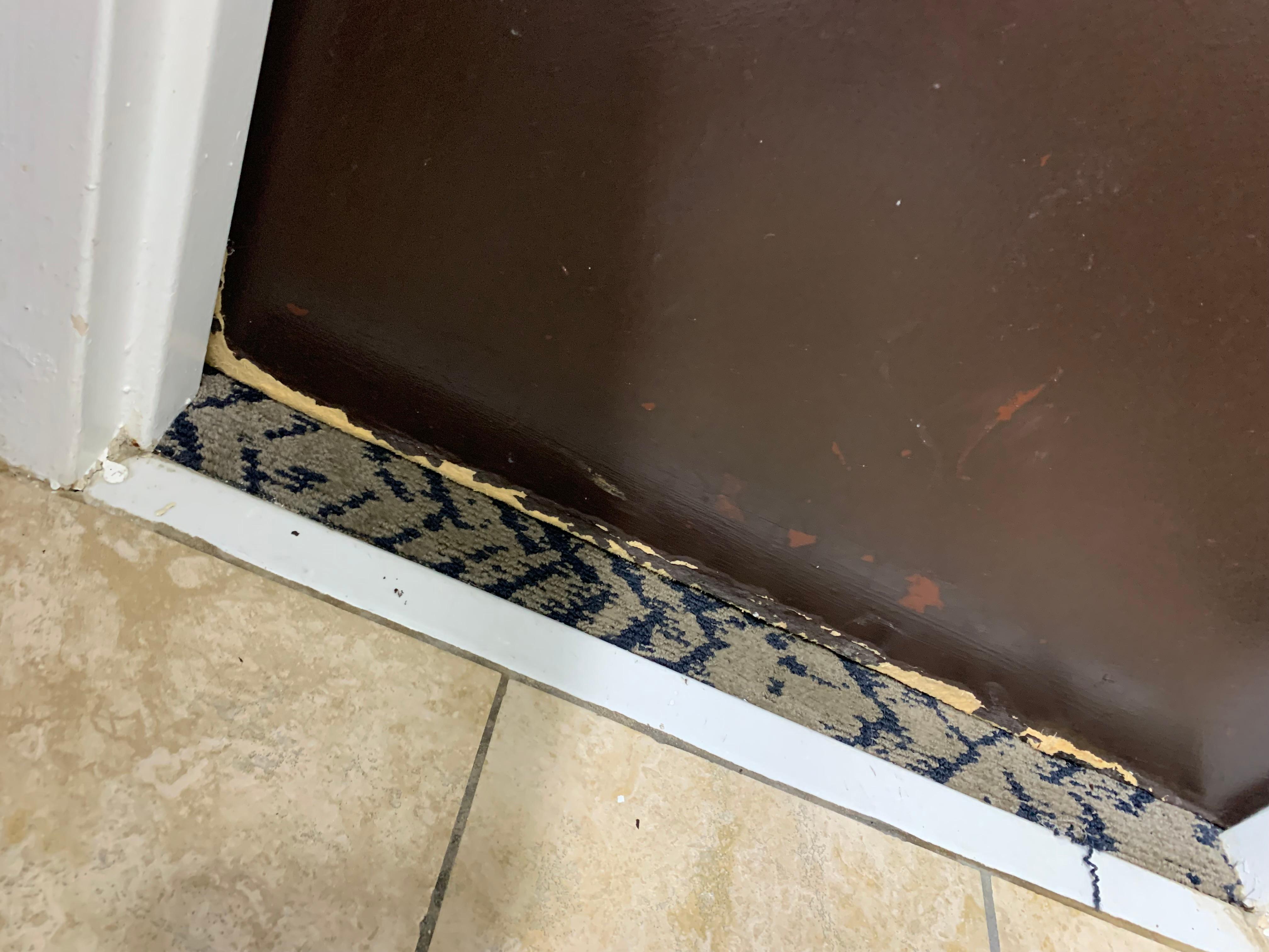 Mold damage to door