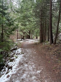 The lake trail