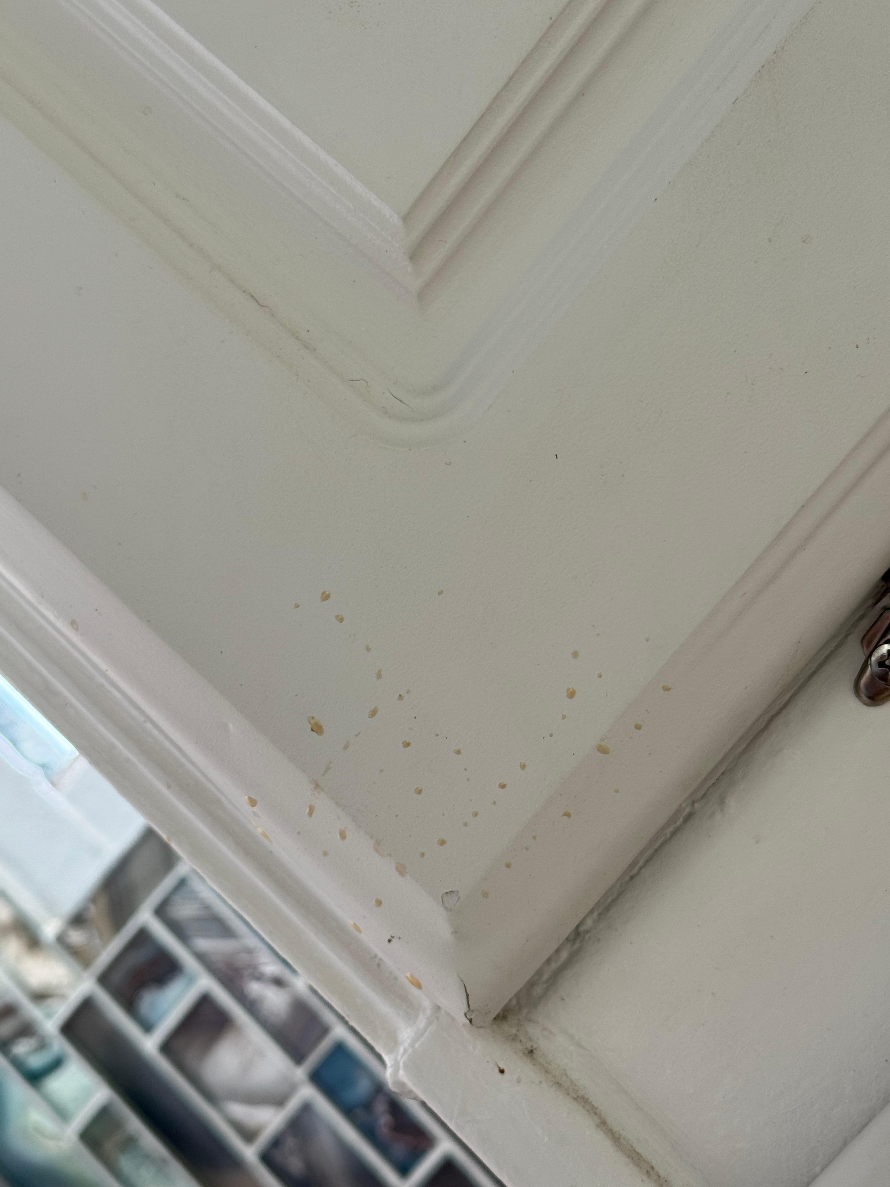 Nasty splatter on outside of cabinets.