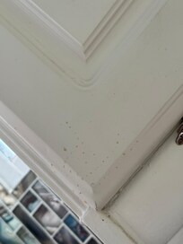 Nasty splatter on outside of cabinets.