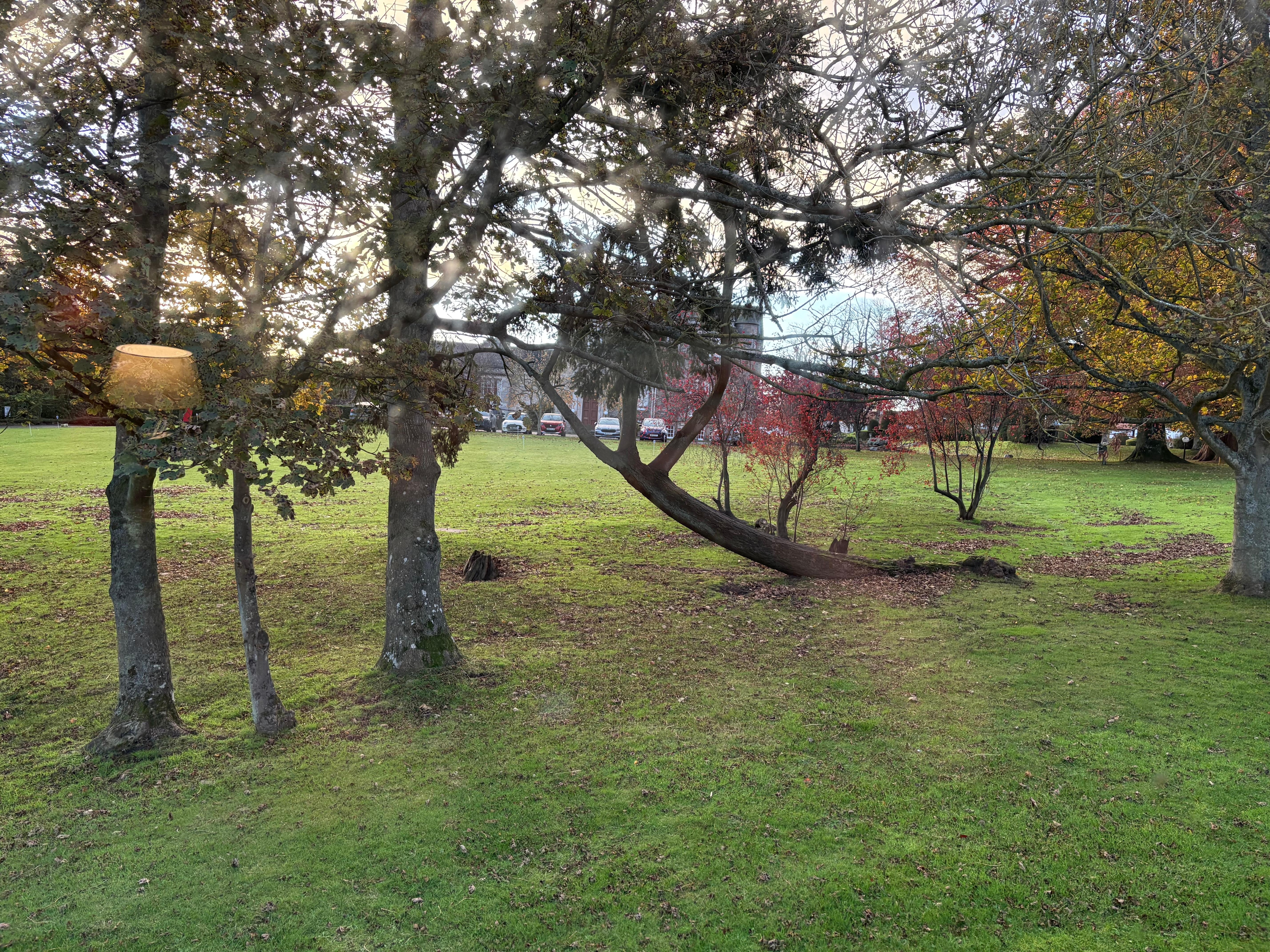 View from inside bedroom window 