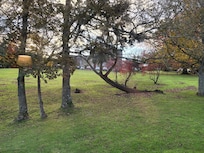 View from inside bedroom window