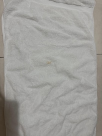 Just one of the stains on the towels.