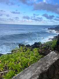 View from the lawn area!