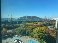 部屋からの景色も綺麗