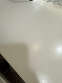 Hairs at washand basin