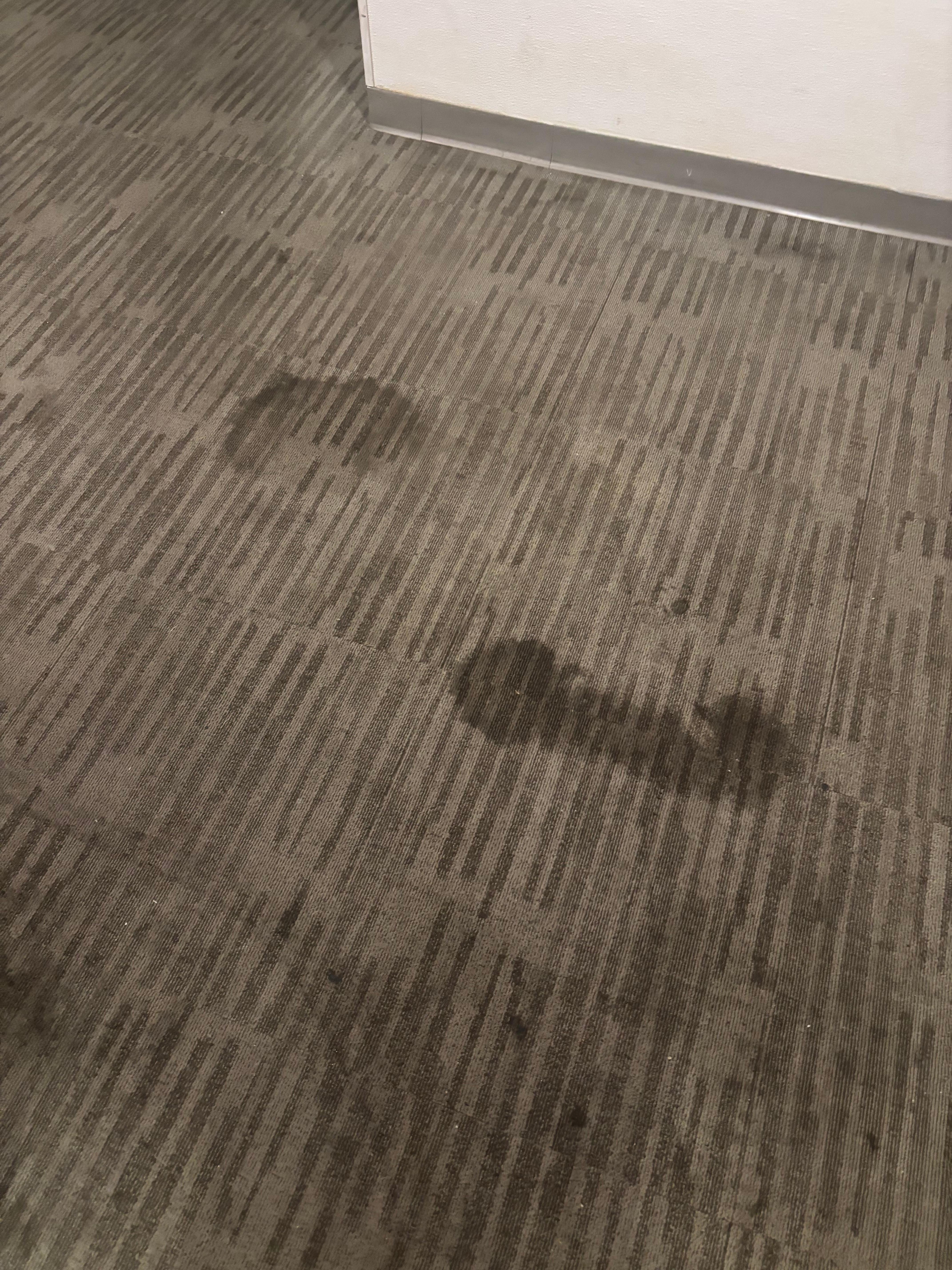 Dirtiest carpets I’ve ever seen 