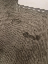 Dirtiest carpets I’ve ever seen