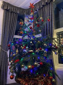 Christmas tree in the resident’s bar lounge