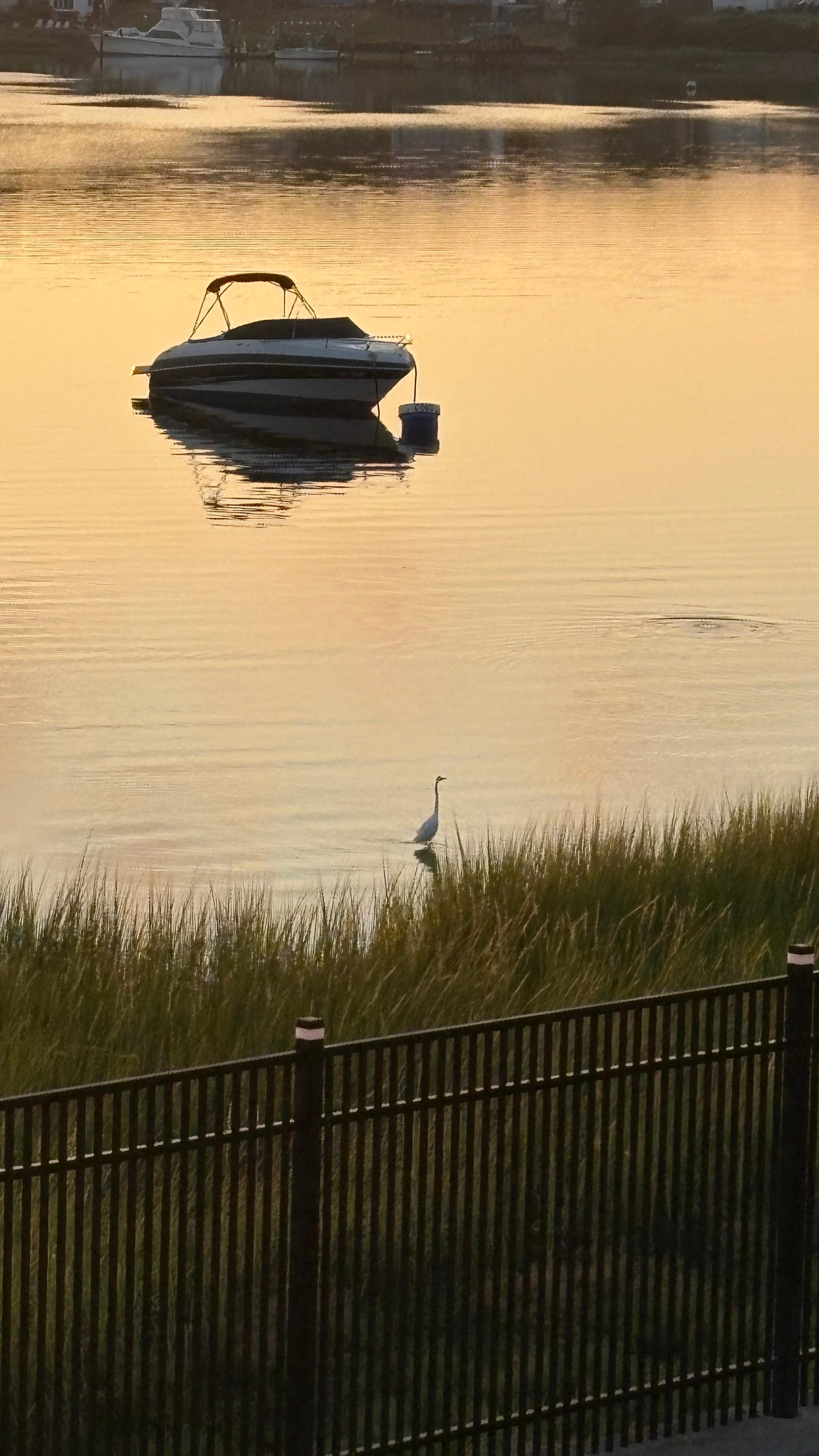 Beautiful view of the sunrise from the porch.