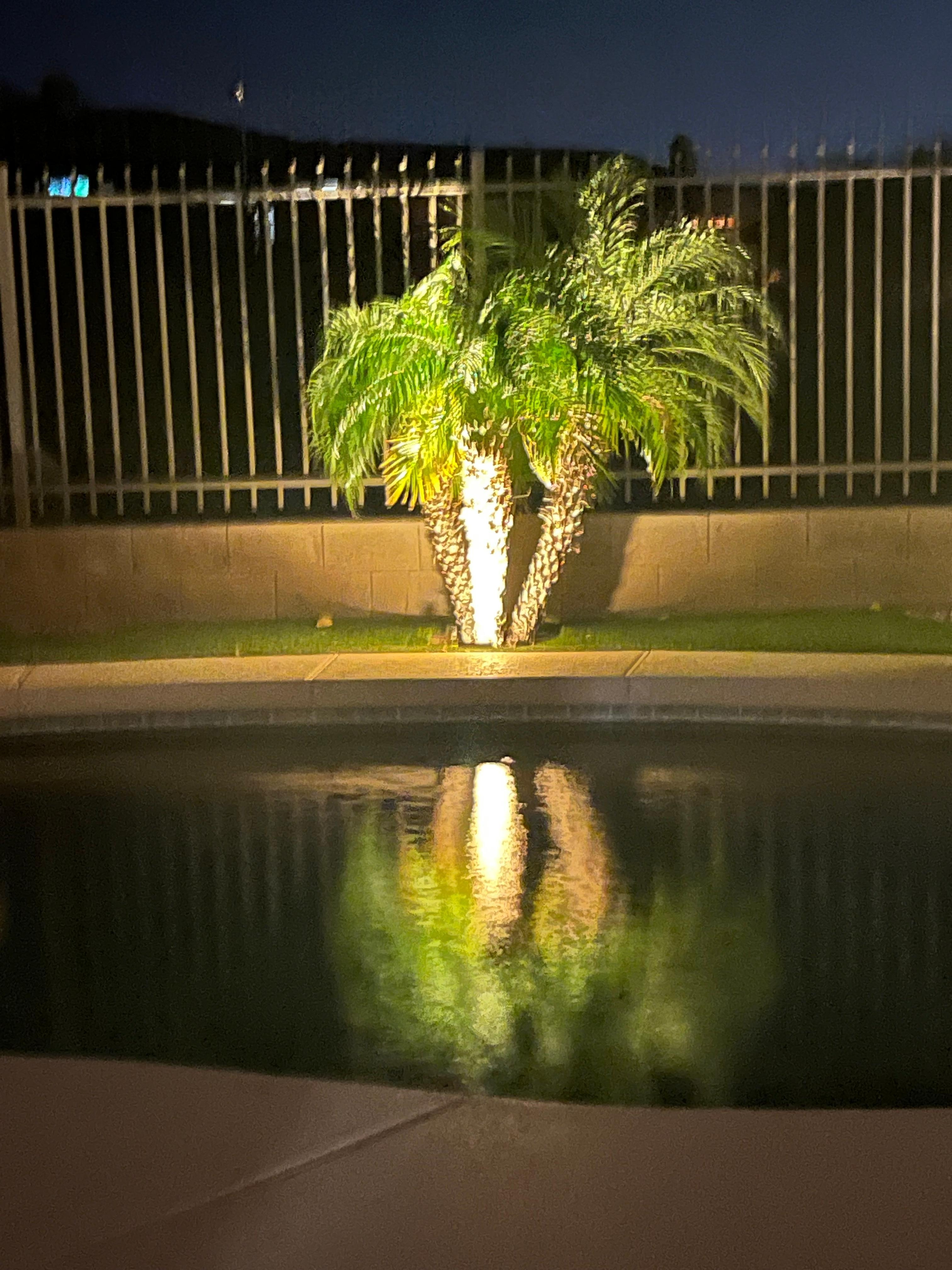 Beautiful lighted landscape 