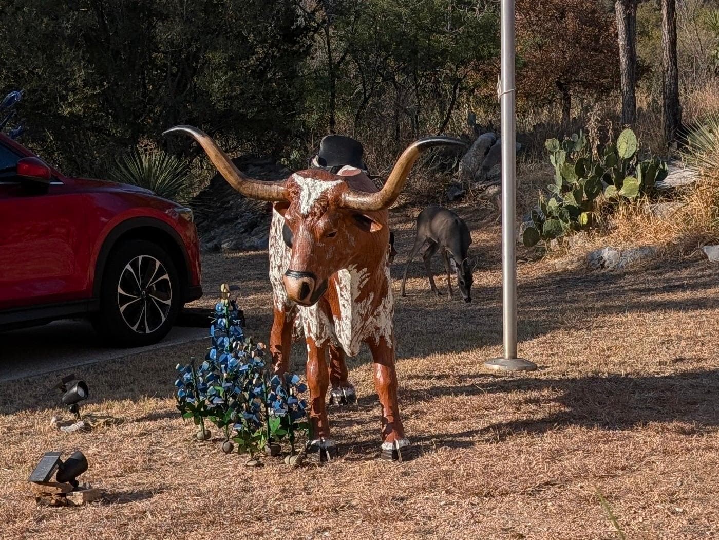 Outdoor decor and deer in the yard