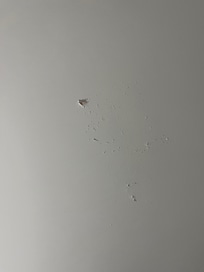 Just one of the bad spots on the ceiling.
