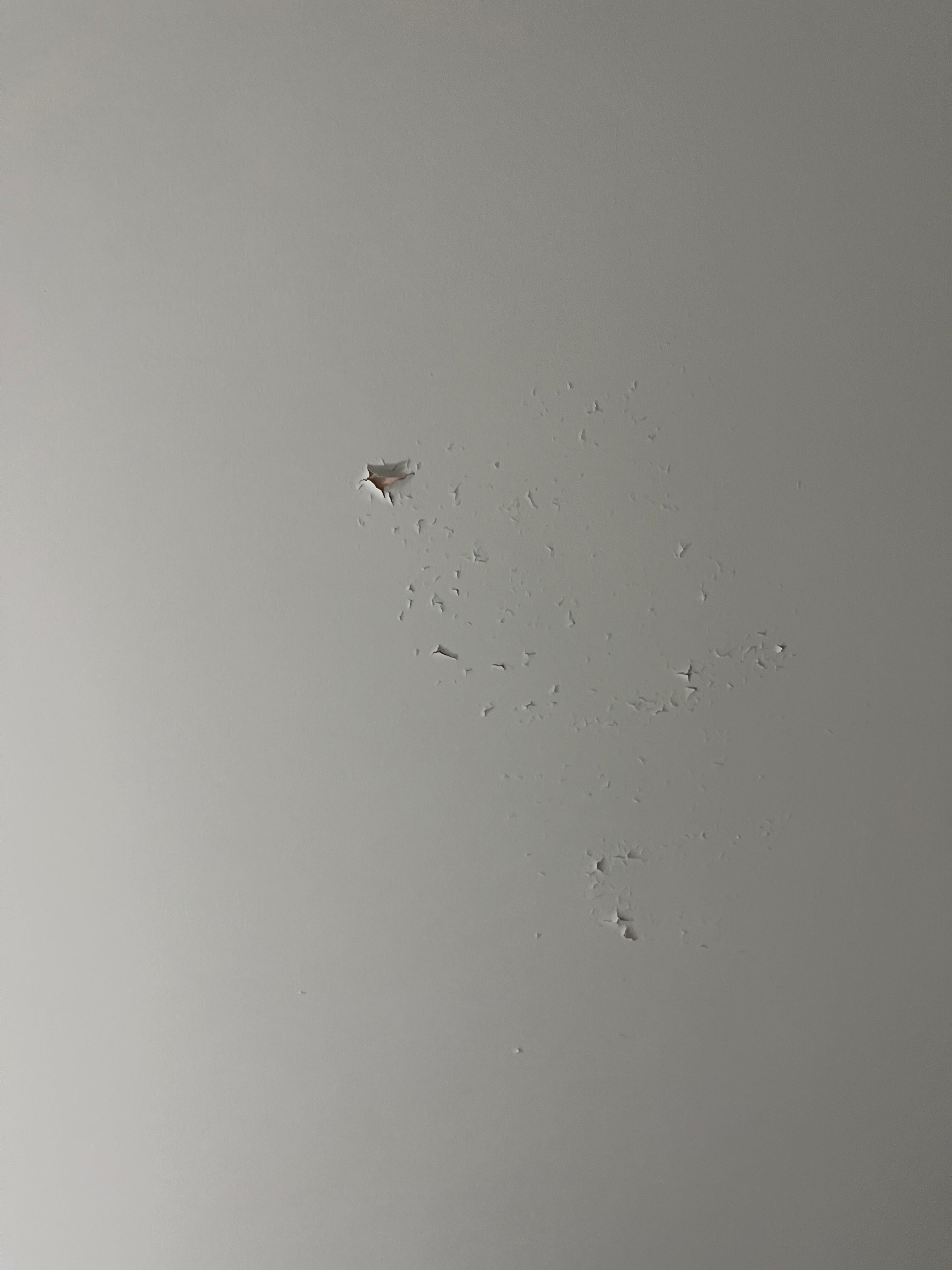 Just one of the bad spots on the ceiling.