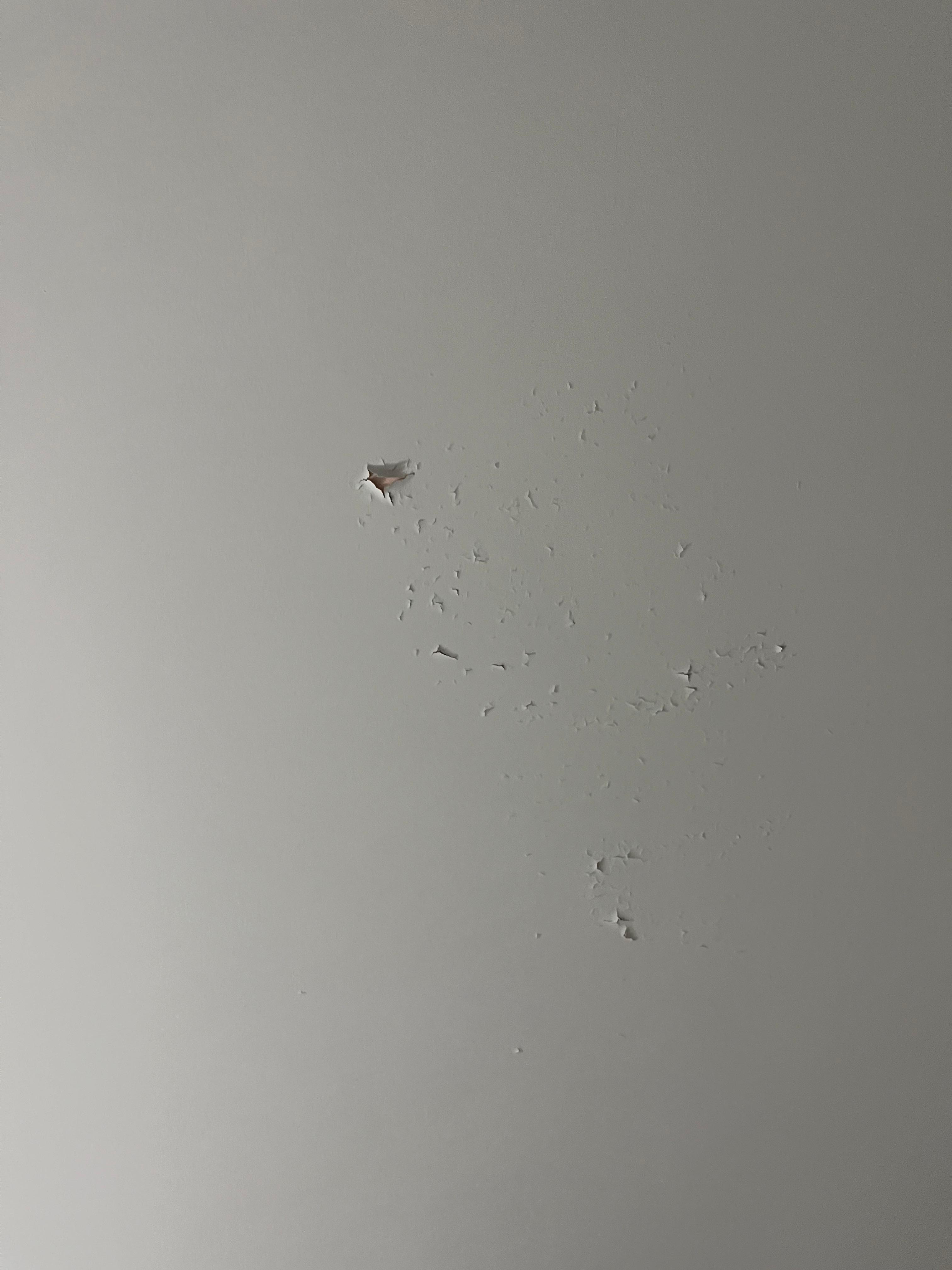 Just one of the bad spots on the ceiling.