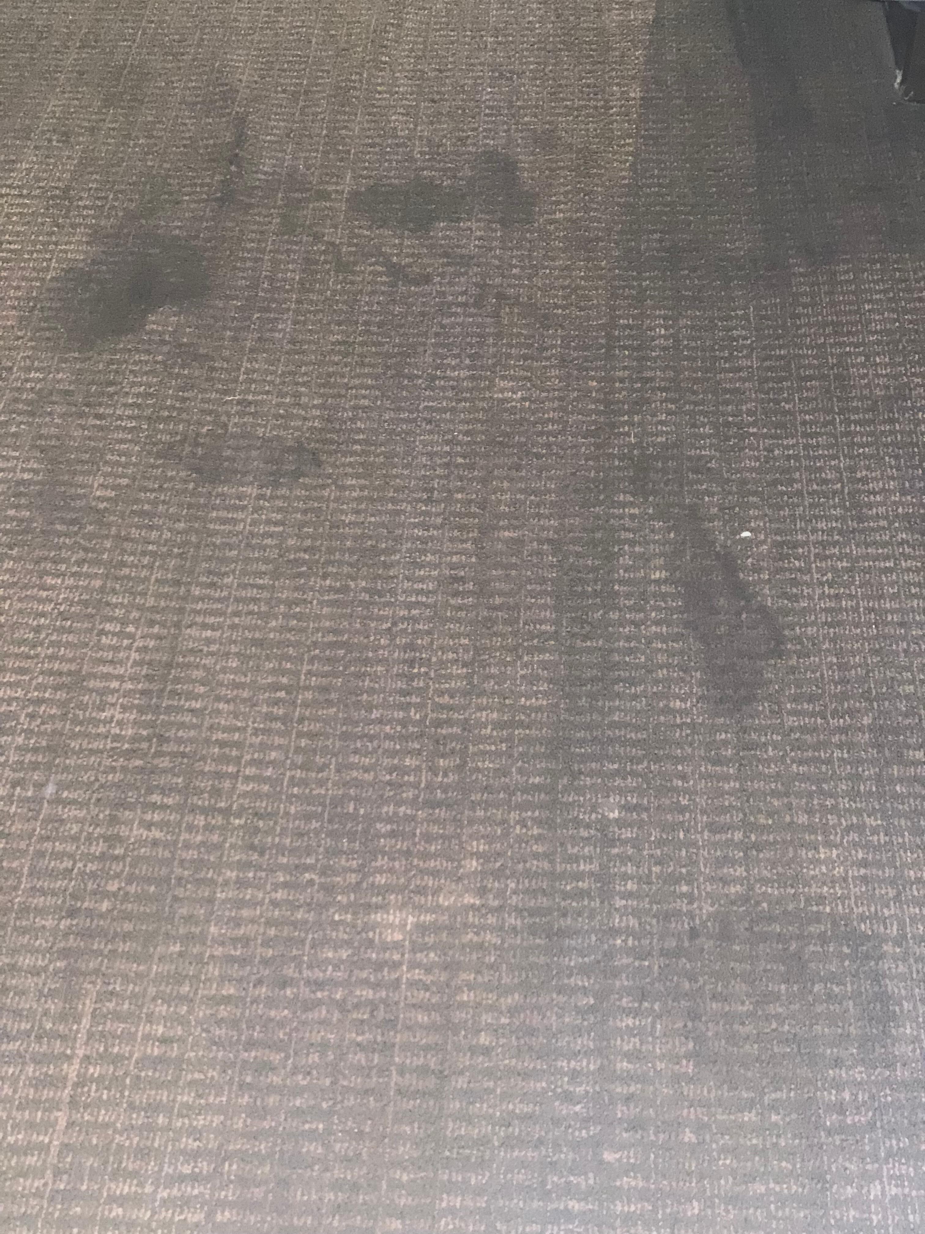 Stained carpet 