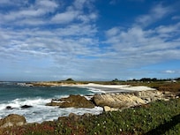 short drive along 17 Mile Drive