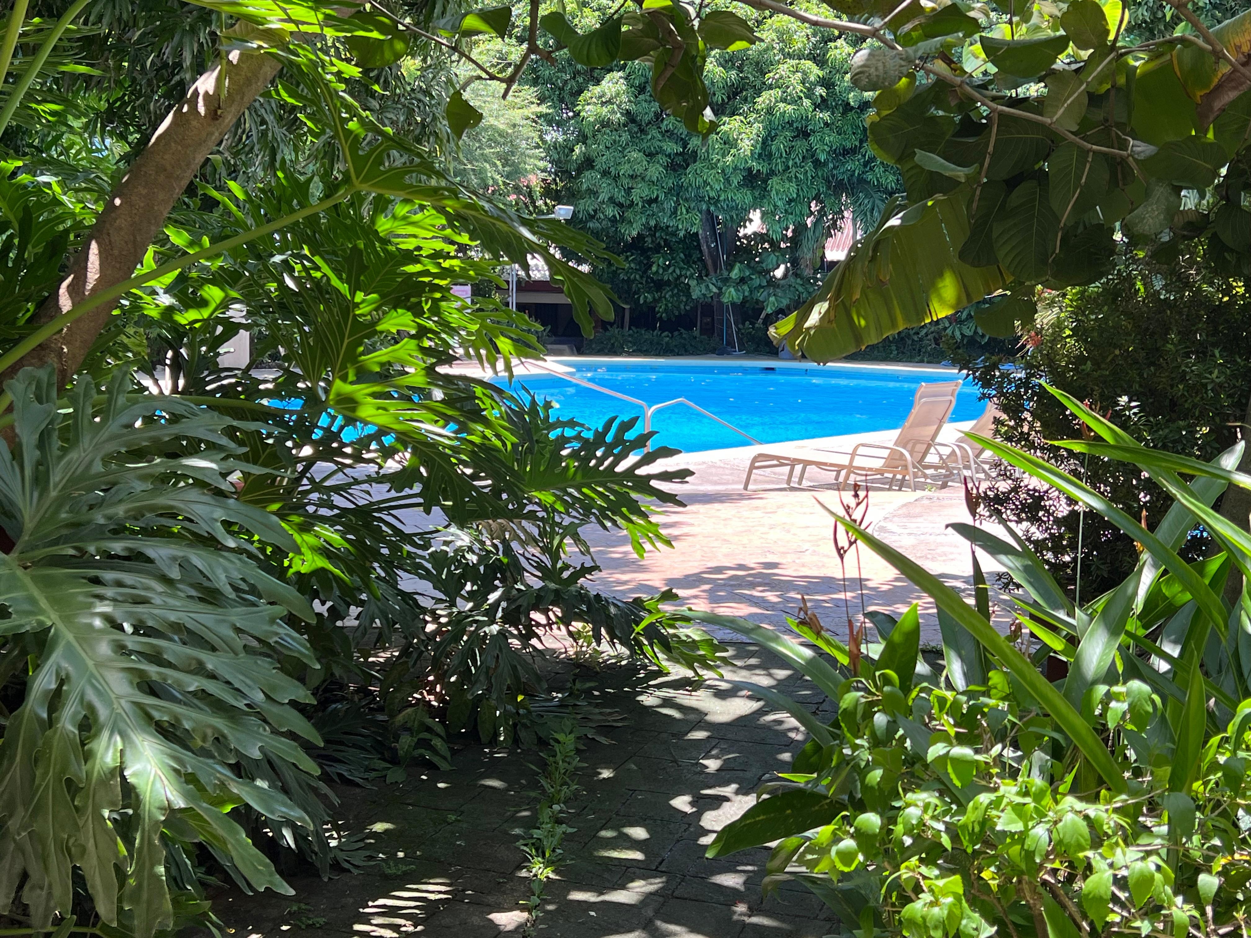 Garden view from our room