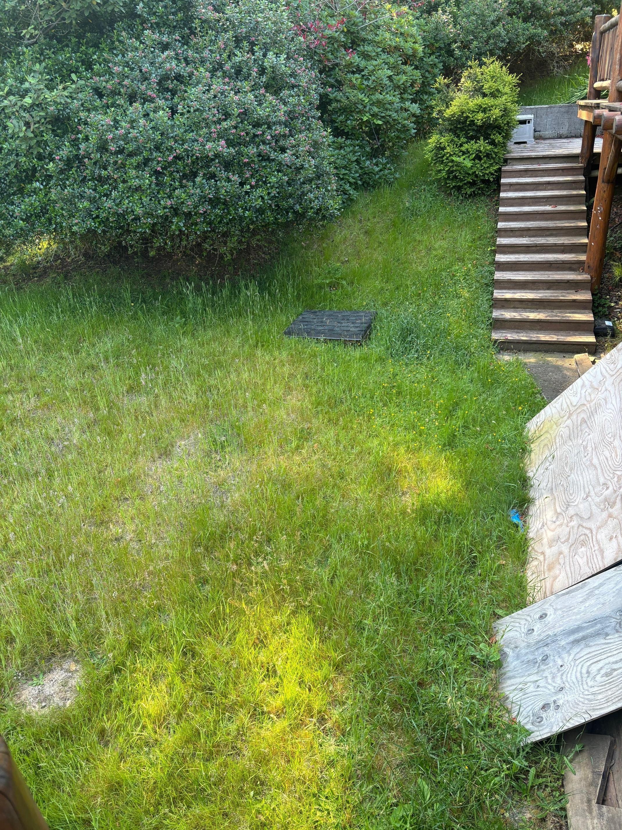 Poor exterior maintenance left us unable to use the lawn