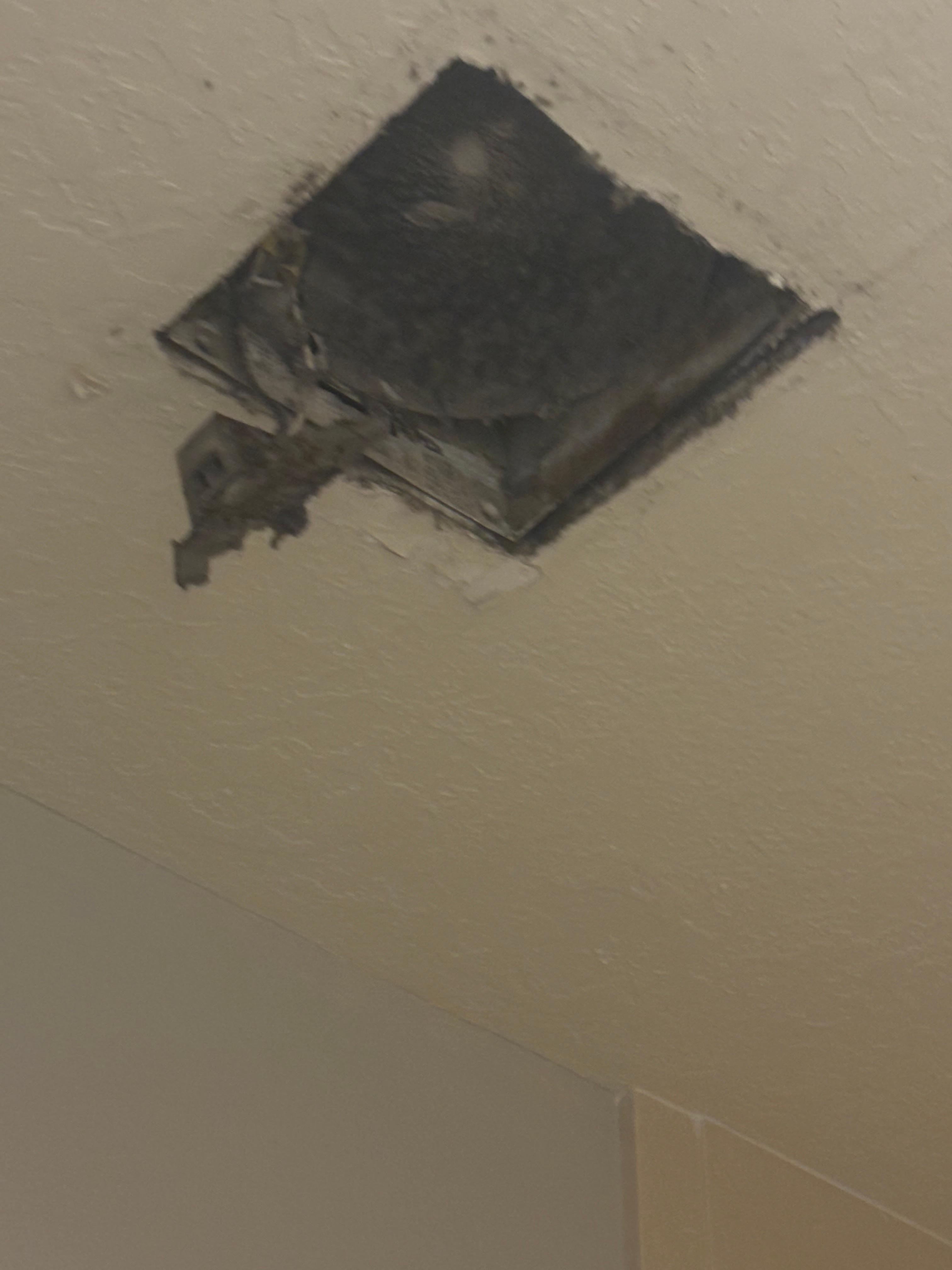 Bathroom fan ripped out a long time ago.