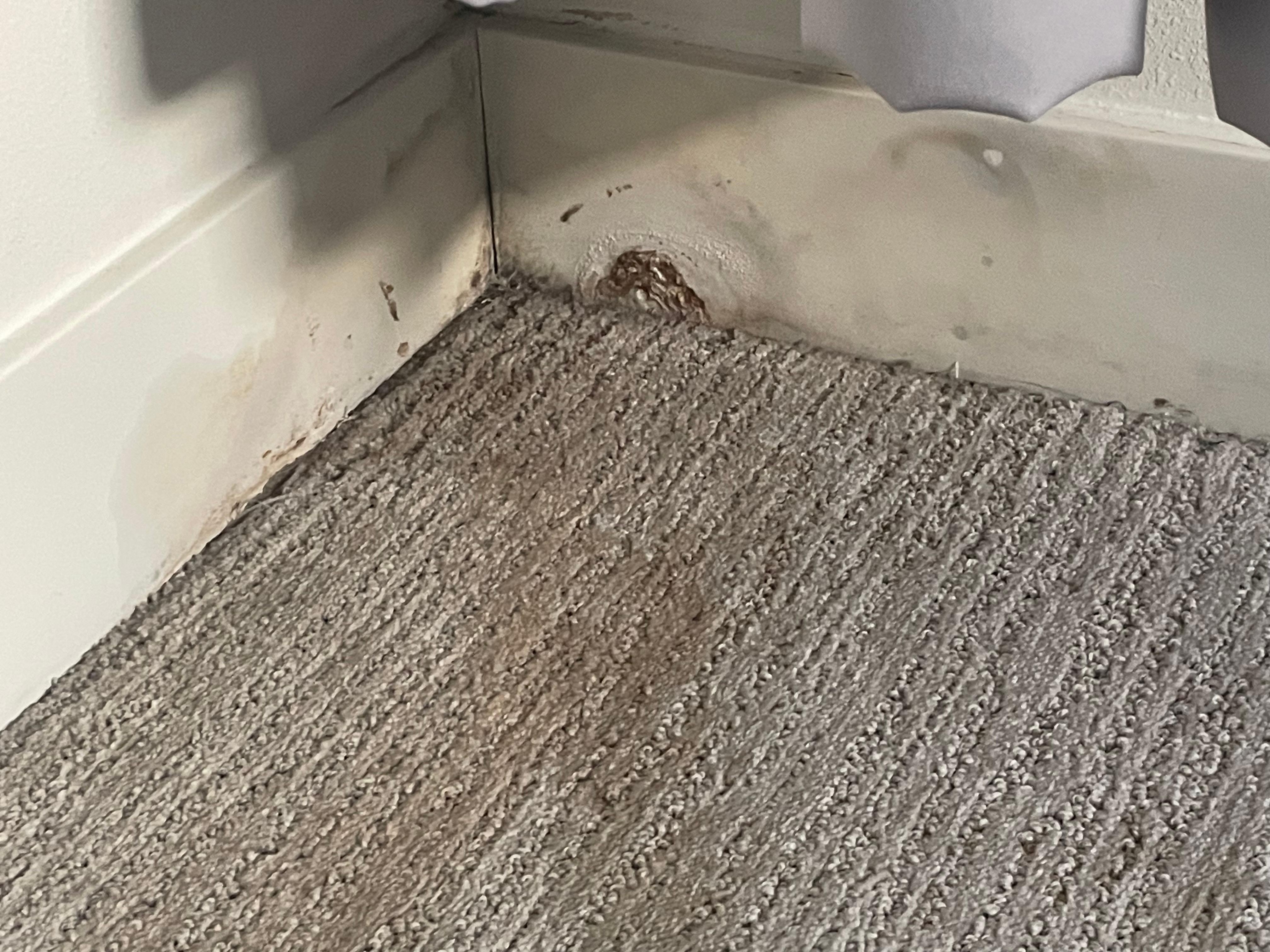 Upstairs bedroom directly below area of ceiling with multiple water stains.